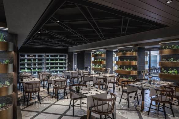 MSC Cruises MSC World Europa Chefs Garden Kitchen - Ivan Sarfatti and MSC Rights 5.jpg